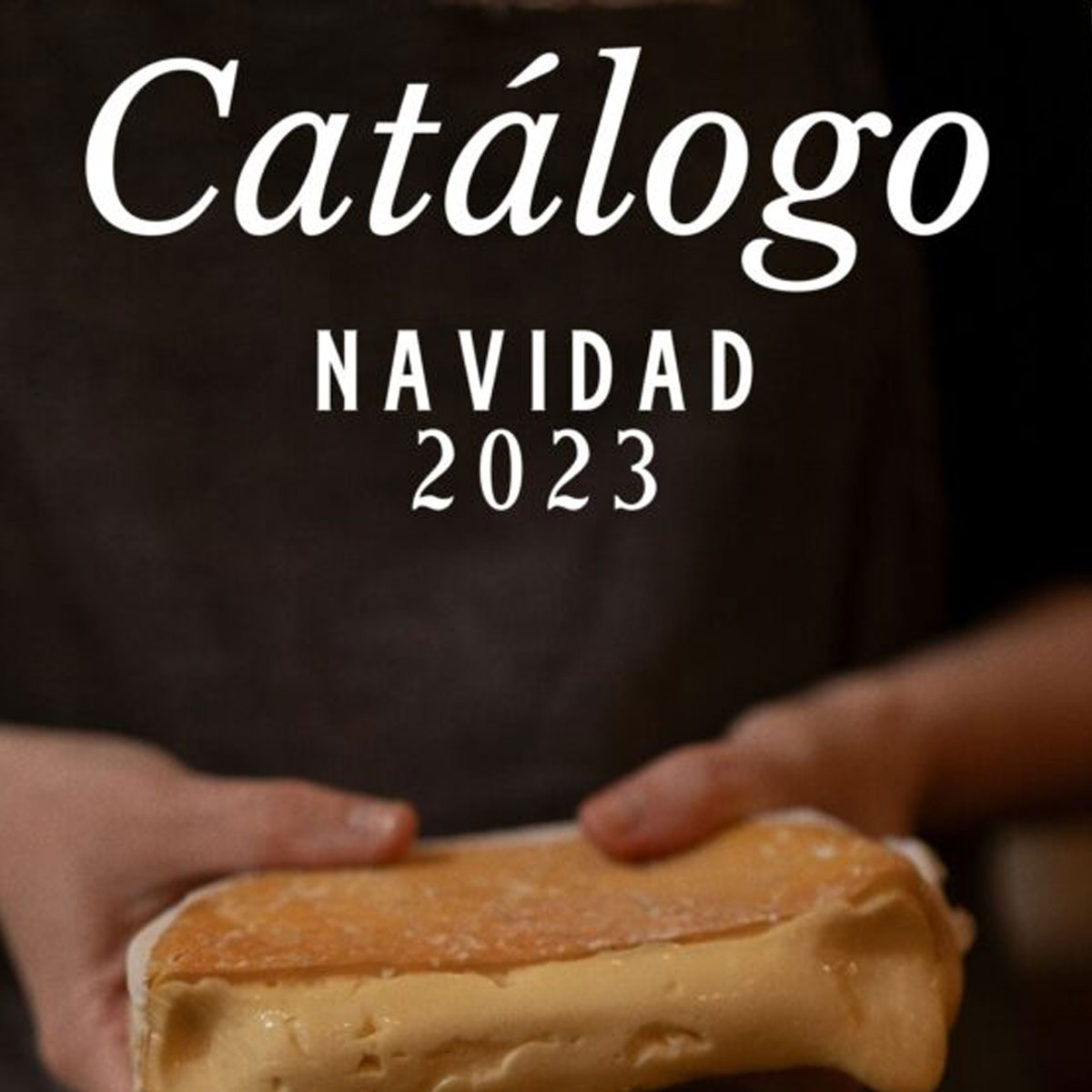 CATÁLOGO DE NAVIDAD 2023